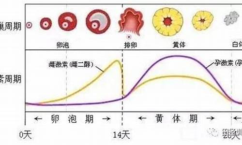 体育考试时来月经怎么办_体育考试的时候来月经怎么办